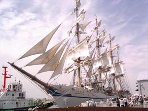 �W���I���B